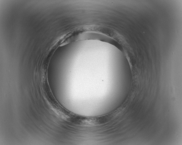 X0000078870164200612042007