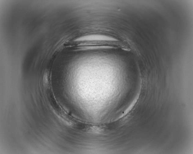 X0000078870166200612042007