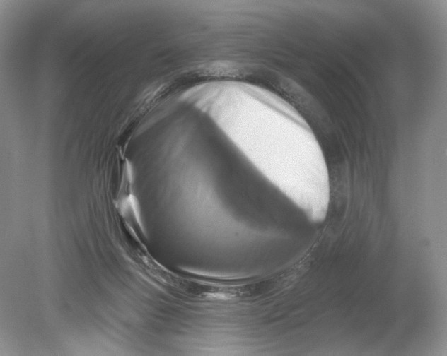 X0000078870167200612042007