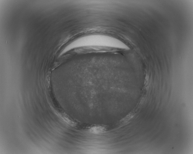 X0000078870168200612042007