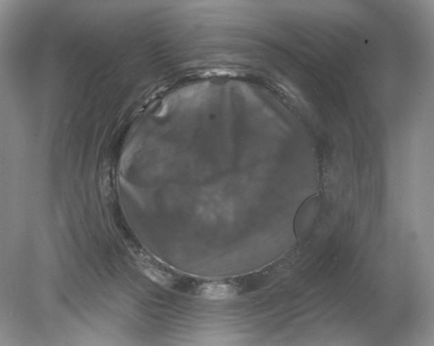 X0000078870169200612042007