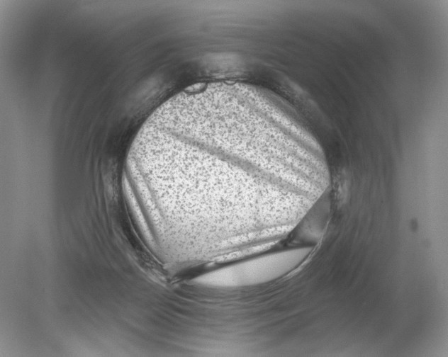 X0000078870170200612042007