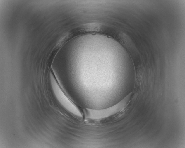 X0000078870172200612042007