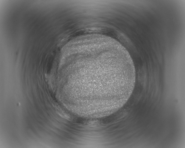 X0000078870173200612042007