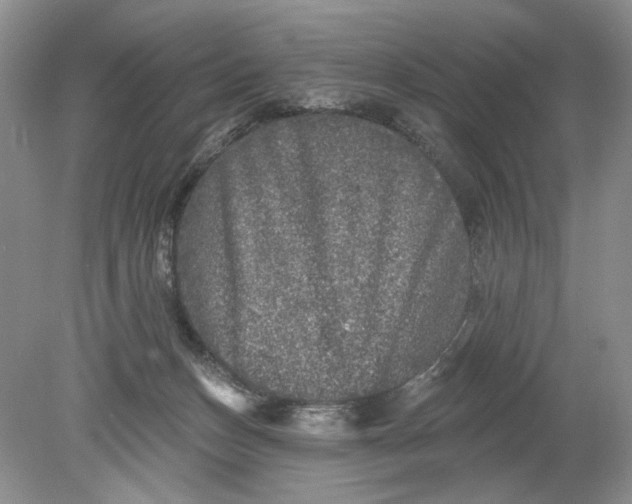 X0000078870175200612042007