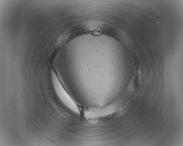 X0000078870176200612042007