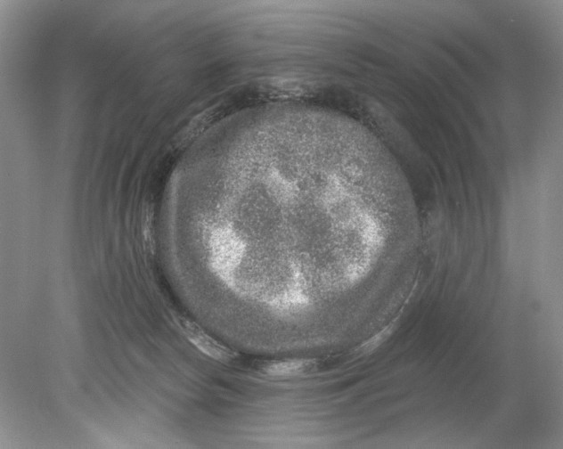 X0000078870178200612042007