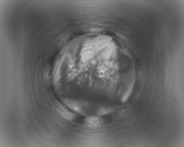 X0000078870181200612042007