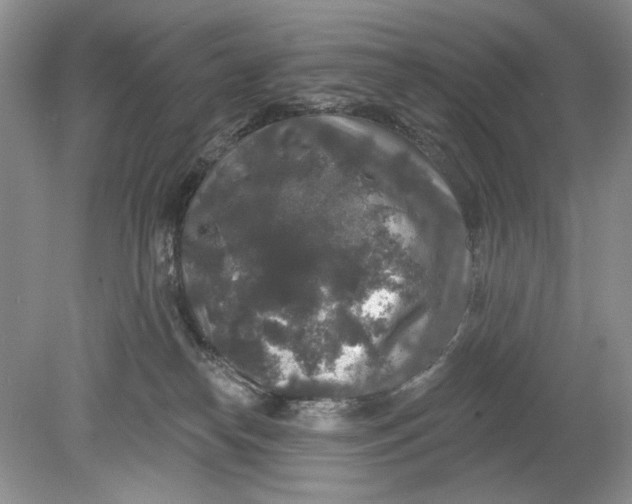 X0000078870182200612042007