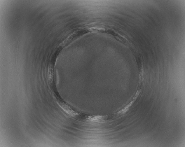 X0000078870186200612042008