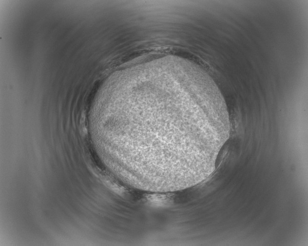 X0000078870187200612042008