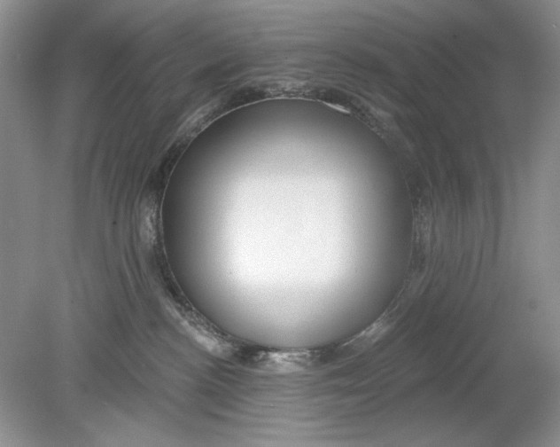 X0000078870188200612042008