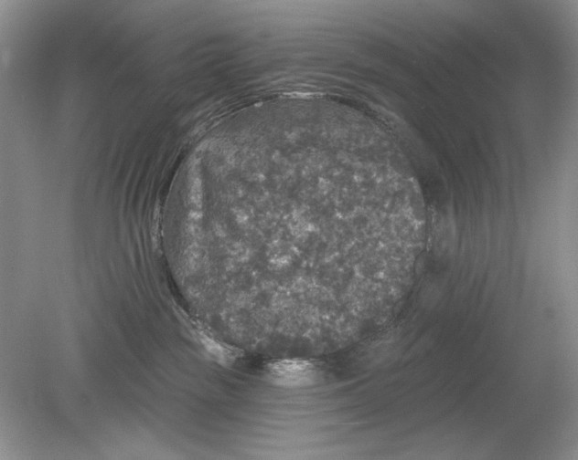 X0000078870189200612042008