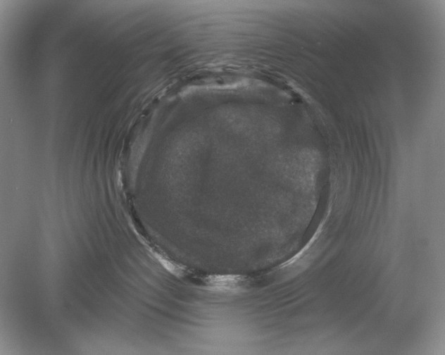 X0000078870192200612042008