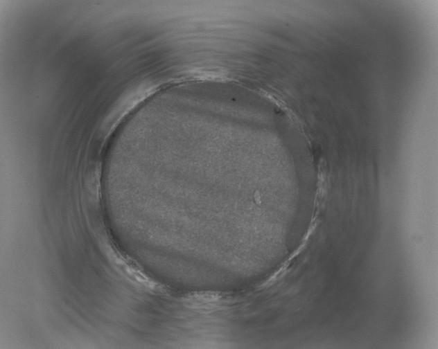 X0000078870194200612042007