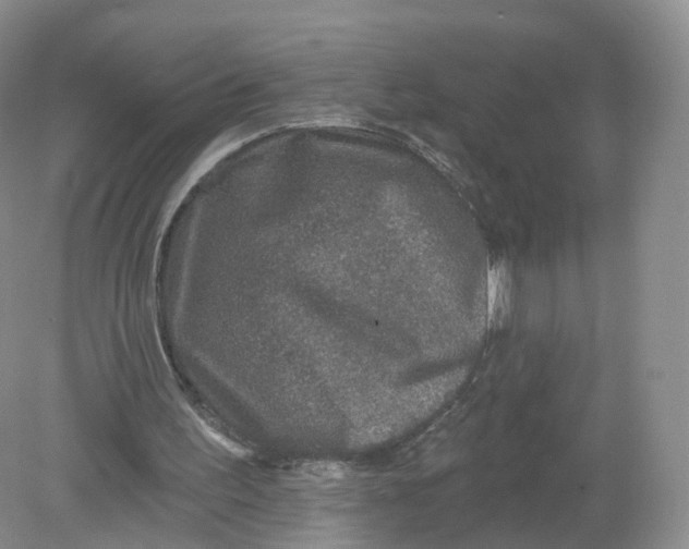 X0000078870195200612042007