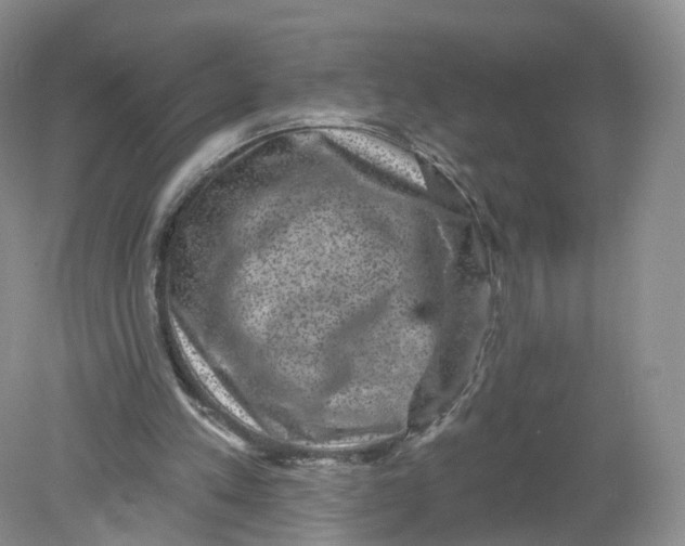 X0000078870197200612042007