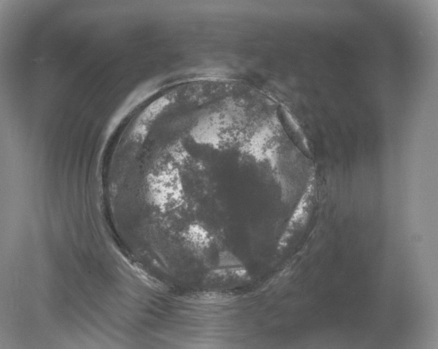 X0000078870198200612042007