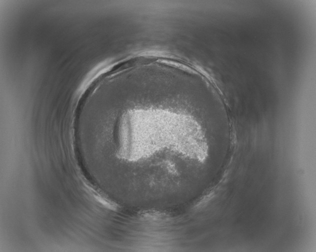 X0000078870199200612042007