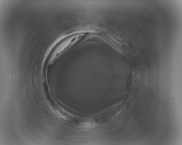 X0000078870200200612042007