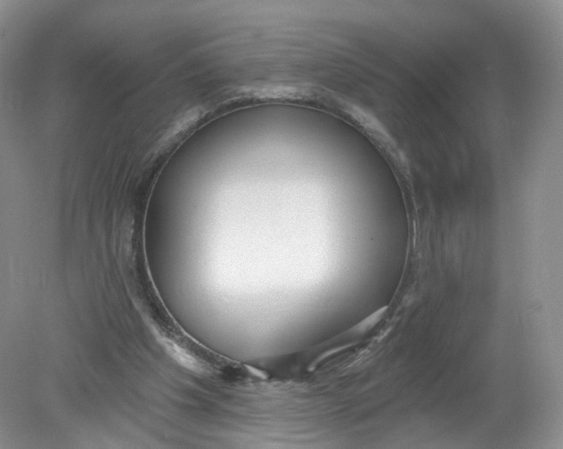 X0000078870201200612042007