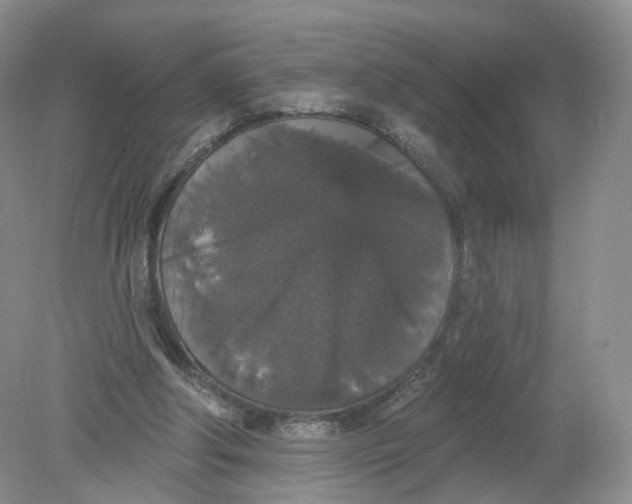 X0000078870202200612042007