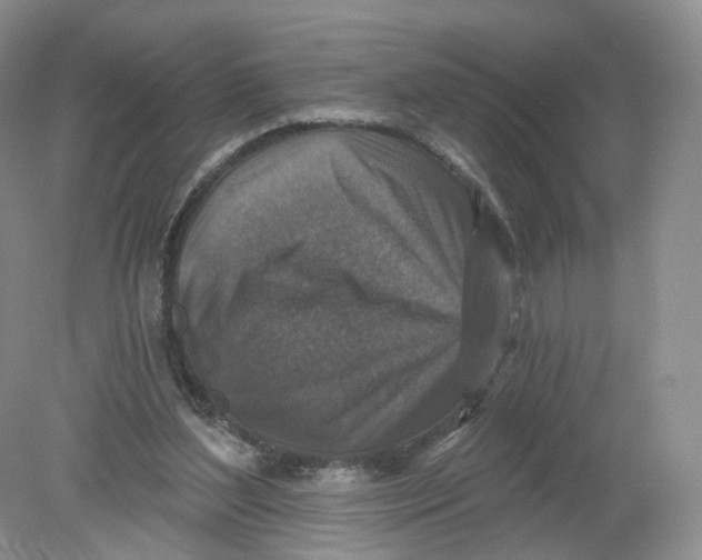 X0000078870204200612042007