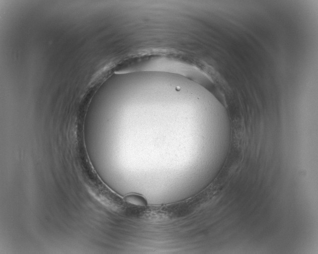 X0000078870207200612042007