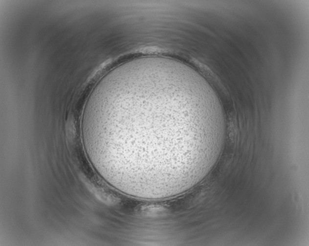 X0000078870208200612042007