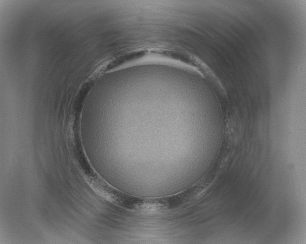 X0000078870209200612042007