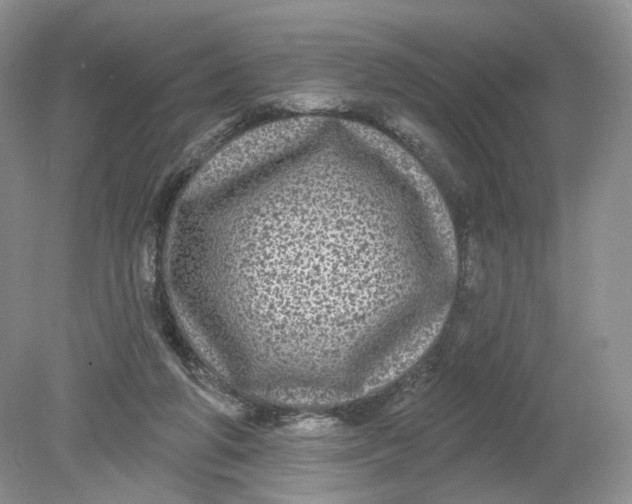 X0000078870210200612042007