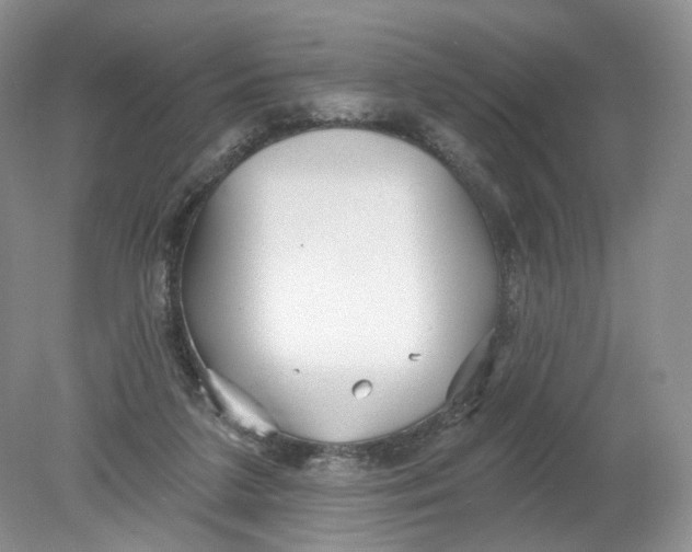 X0000078870211200612042007