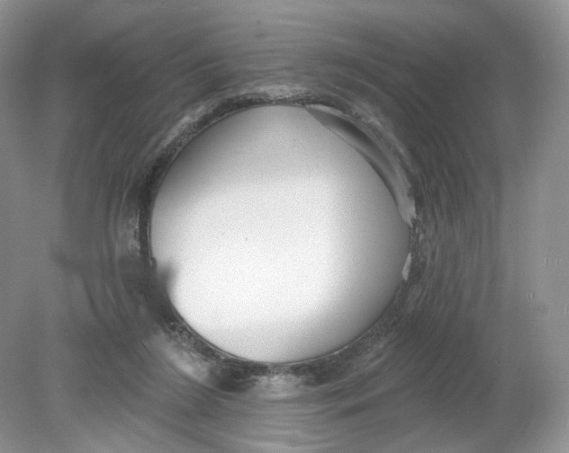 X0000078870212200612042007