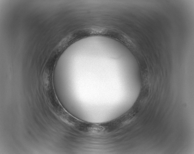 X0000078870215200612042006