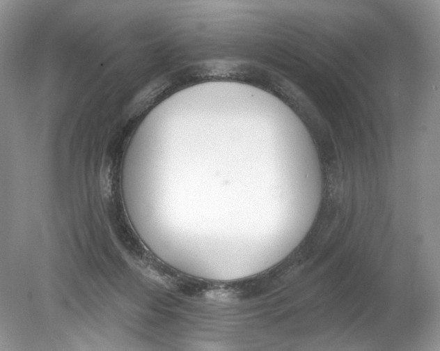 X0000078870216200612042006