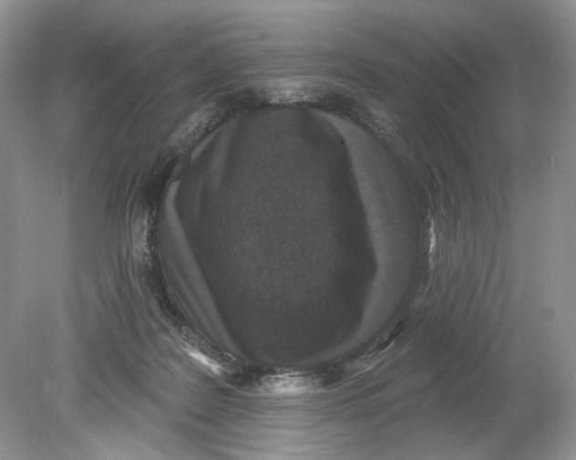 X0000078870219200612042006