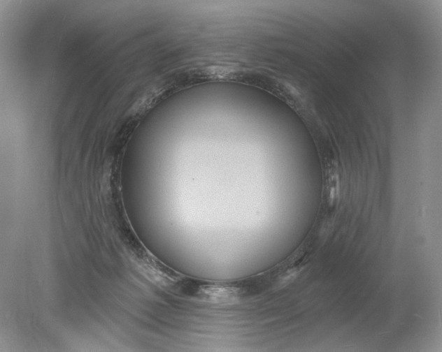 X0000078870221200612042006