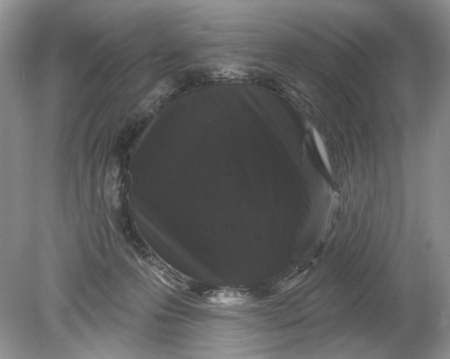 X0000078870223200612042006