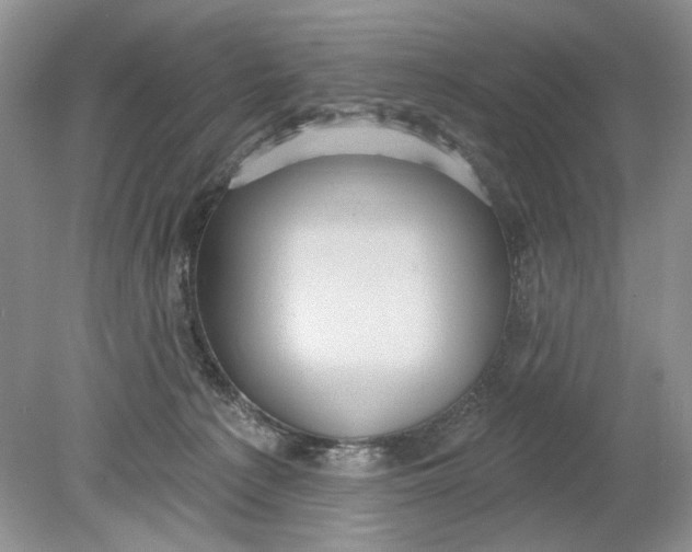 X0000078870225200612042006