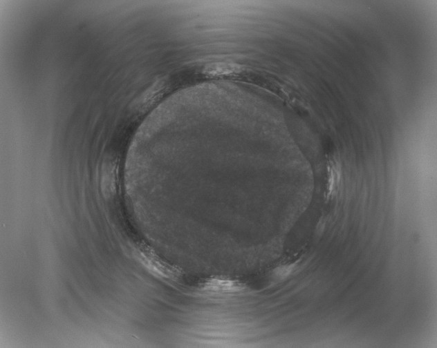 X0000078870227200612042006