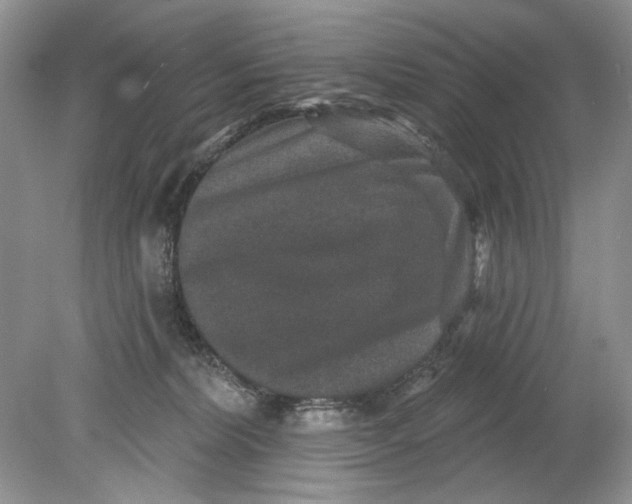 X0000078870228200612042006