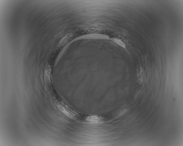 X0000078870231200612042006