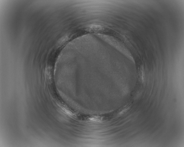 X0000078870232200612042006