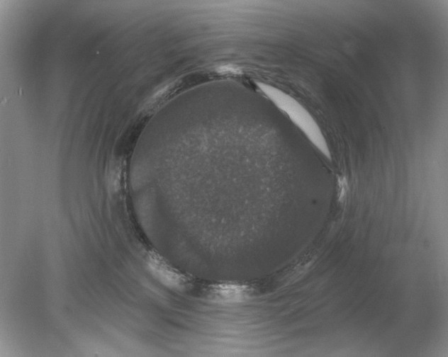 X0000078870233200612042006