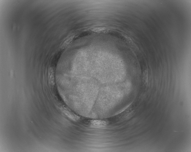 X0000078870234200612042006