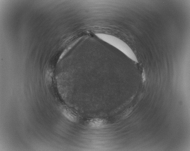 X0000078870235200612042006