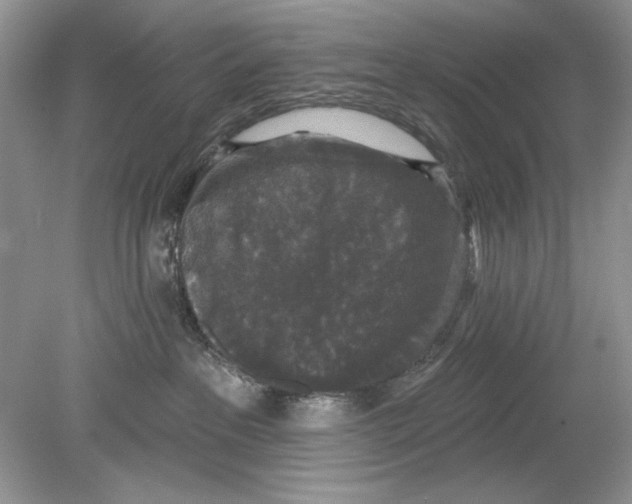 X0000078870237200612042006