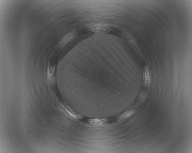 X0000078870239200612042006