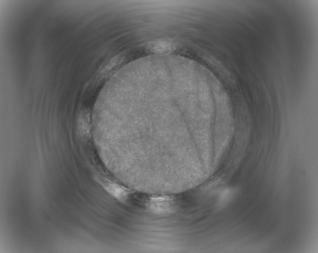 X0000078870240200612042006