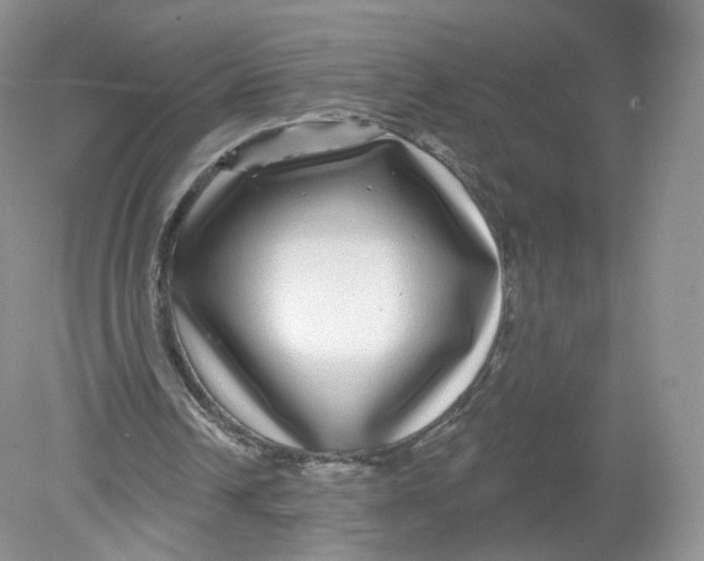 X0000078870242200612042005